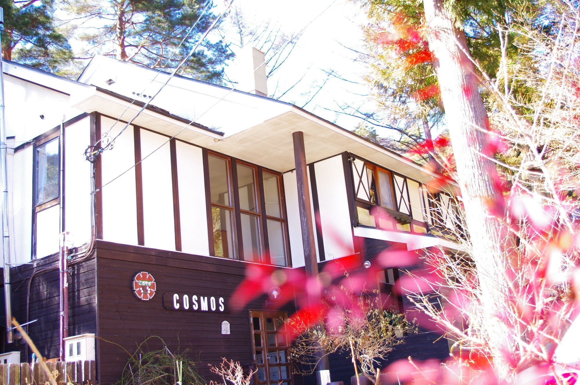 Forest Resort Cosmos Fujikawaguchiko Buitenkant foto